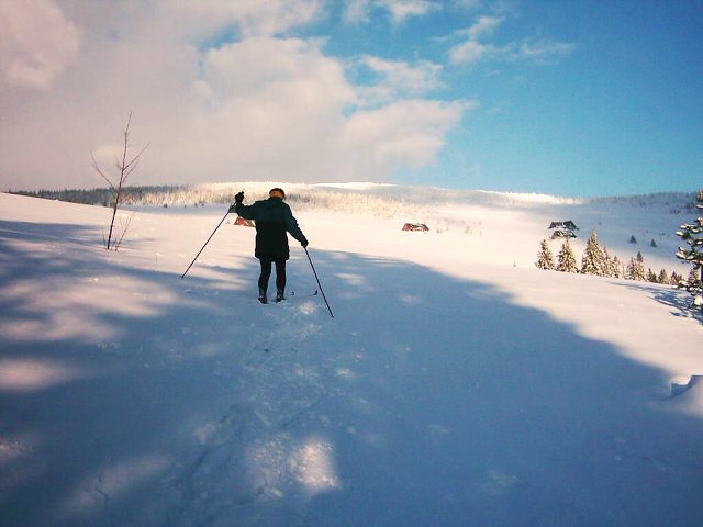 img00004.jpg