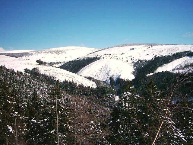 img00012.jpg
